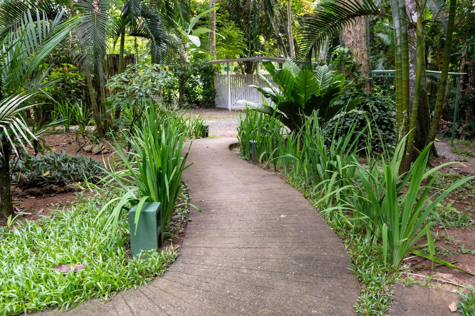 Jaguar Inn Bungalows Puerto Viejo de Talamanca Екстериор снимка