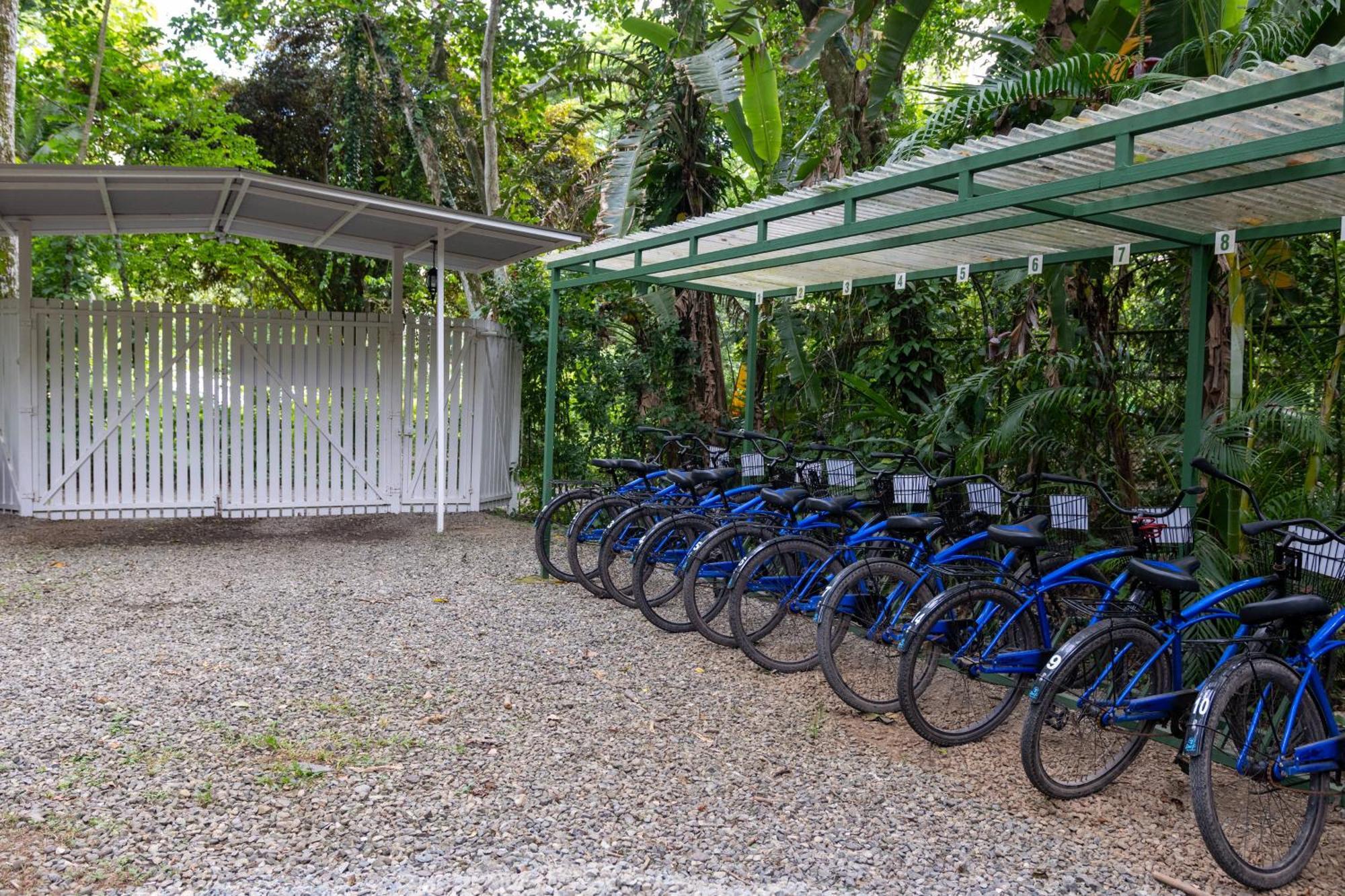 Jaguar Inn Bungalows Puerto Viejo de Talamanca Екстериор снимка