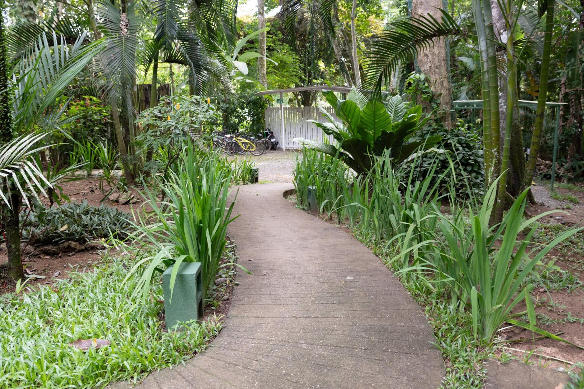 Jaguar Inn Bungalows Puerto Viejo de Talamanca Екстериор снимка
