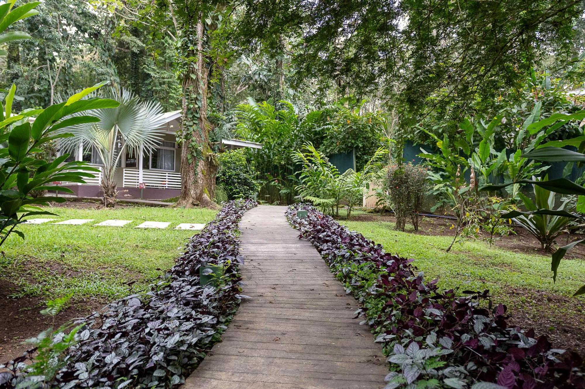 Jaguar Inn Bungalows Puerto Viejo de Talamanca Екстериор снимка