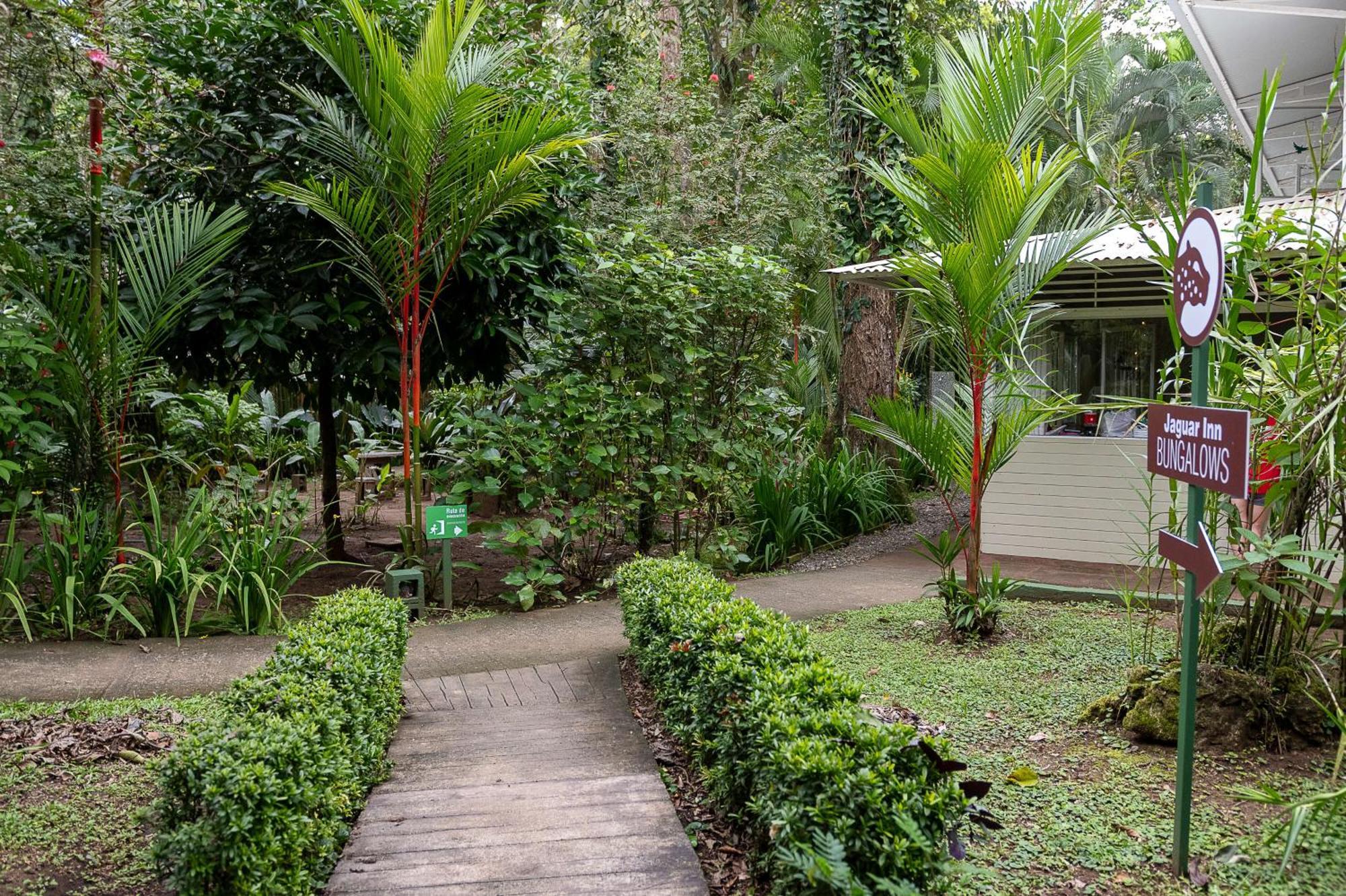 Jaguar Inn Bungalows Puerto Viejo de Talamanca Екстериор снимка